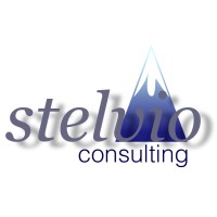 Stelvio Consulting logo - Similar company to Stelvio Business Consulting