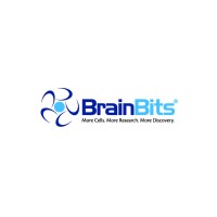 Brainbits Llc