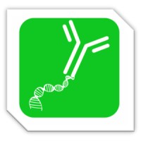 AbOliGo logo - Similar company to Rage Diagnostics
