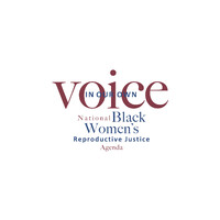 In Our Own Voice: National Black Women's Reproductive Justice Agenda logo - Similar company to The Afiya Center