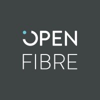 Open Fibre SA logo - Similar company to Web Squad