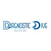 Diagnostic Dive logo - Similar company to Systemio Technologies