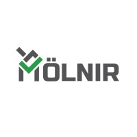 Mölnir logo - Similar company to It Mesh