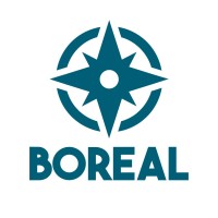 Boreal Formación logo - Similar company to Buisán2H-Formación Y Desarrollo Integral De Personas