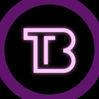 TechyBuilds logo - Similar company to Techsbuilds