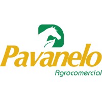Pavanelo Agrocomercial logo - Similar company to Big Fish Academy