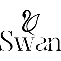 Swan digital marketing agency logo - Similar company to Bealaveh