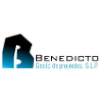 Benedicto Gestio De Projectes Slp