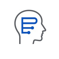 PAiD AI Solutions logo - Similar company to Paidai