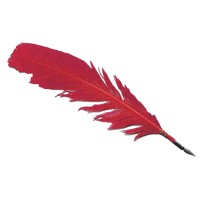 Red Quill Communications, Inc.