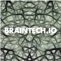 BrainTech.io logo - Similar company to Kinship Networking