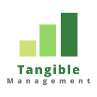 Tangible Management Services logo - Similar company to Loopingone