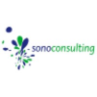 Sono Consulting logo - Similar company to The Sono Group