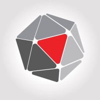 Digital Symmetry logo - Similar company to Cámara Costarricense De Pymes