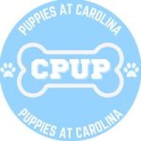 Puppies at Carolina logo - Similar company to Best Buddies In North Carolina