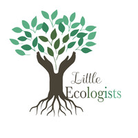Little Ecologists logo - Similar company to Ecologists Without Borders (Ecowb)