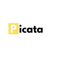 Picata SpA logo - Similar company to Ceresys