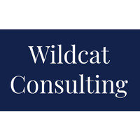 Wildcat Consulting logo - Similar company to Deep Analytics Llc