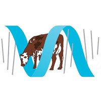 Origen Normande logo - Similar company to Origenplus