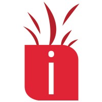 Navixel Solutions Pvt. Ltd logo - Similar company to Insticloud