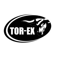 TOR-EX INFRASTRUCTURE logo - Similar company to Land & Building Experts