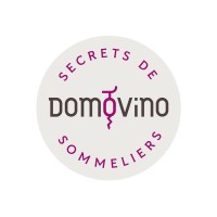 Domovino logo - Similar company to Blik Agency