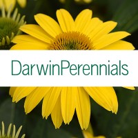 Darwin Perennials logo - Similar company to Vivers Barri Sl