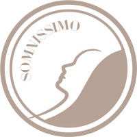 SOMNISSIMO LTD logo - Similar company to Styly Io