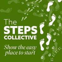 STEPS Collective logo - Similar company to Luke Williams: Keynotes