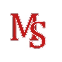 Meena Sankar Vidyalaya logo - Similar company to Strikers Fc