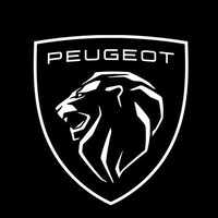 Lyon Peugeot logo - Similar company to Lyon