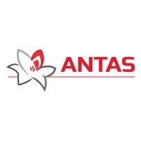 ANTAS SRL logo - Similar company to M.T. Srl