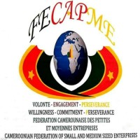 FEDERATION CAMEROUNAISE DES PETITES ET MOYENNES ENTREPRISES logo - Similar company to Fédération Des Chefs D'Entreprises Du Québec