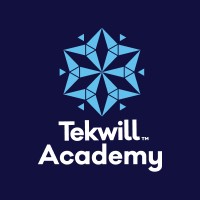Tekwill Academy logo - Similar company to Webcase