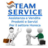 Team Service Srl logo - Similar company to Exanova