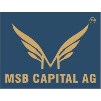 MSB Capital AG logo - Similar company to Startup Kendra