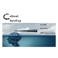 Senscap logo - Similar company to Beeskills