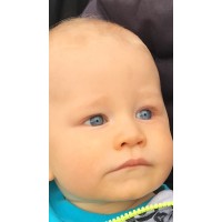 Guerrilla Coaching and Consulting logo - Similar company to Guerilla Development