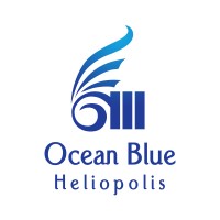 Ocean Blue Studios logo - Similar company to Appifymisr