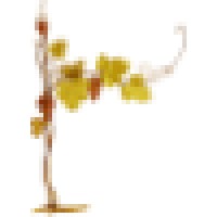 Associazione Studio Di Via Dell'Orto