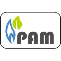 PAM Systems logo - Similar company to Warrier Electronics - Wefire