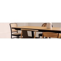 Chic Establishment Sdn Bhd logo - Similar company to Addon Systems Malaysia