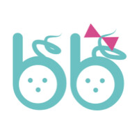 BabyBrains Ltd logo - Similar company to Artec Academy