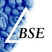 BSE bulk solids engineering logo - Similar company to Machevo & Bulk Vereniging