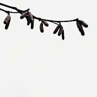 Mariette pics logo - Similar company to Planet Venus