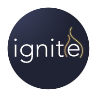 Ignite Insights & Analytics Consulting logo - Similar company to Neuronn Ai
