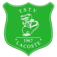 T.S.T.V. Lacoste logo - Similar company to Studio040
