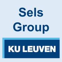 Sels Group logo - Similar company to Sae - Automation