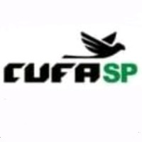 CUFA São Paulo logo - Similar company to Cufa Rio De Janeiro