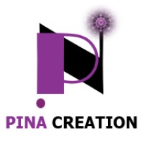 PINA CREATION Inc. logo - Similar company to Wireless Pnc